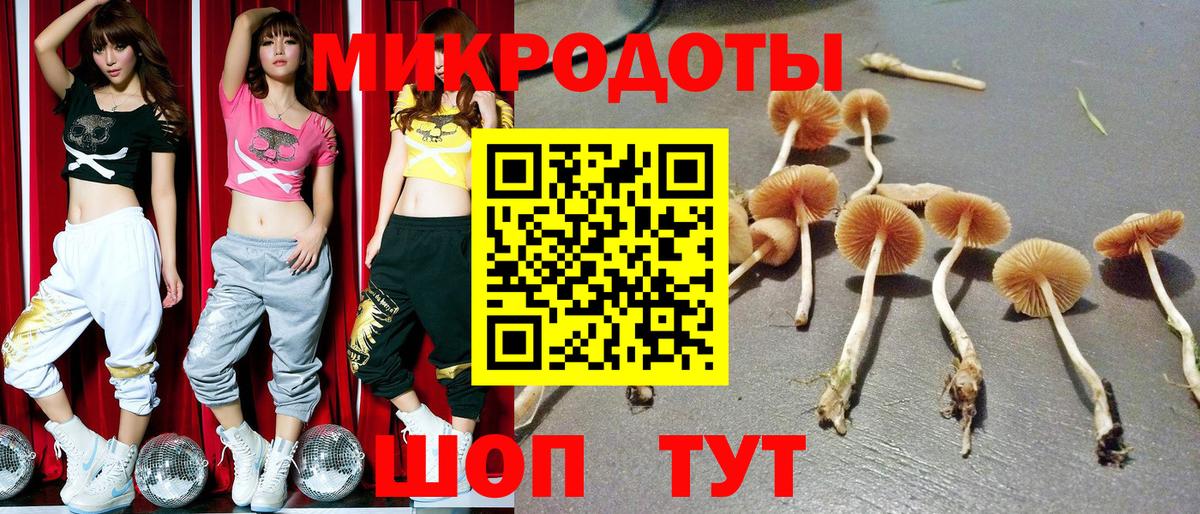 Псилоцибиновые грибы GOLDEN TEACHER  Вход с VPN  Ярославль 